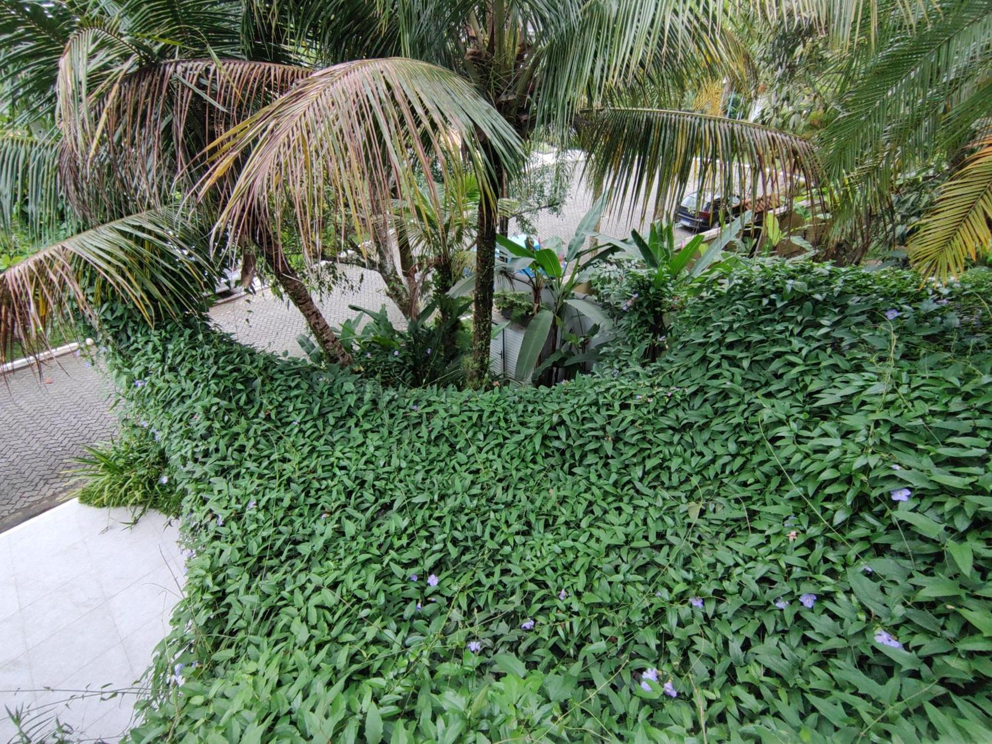 Casa Ideal No Casa de férias